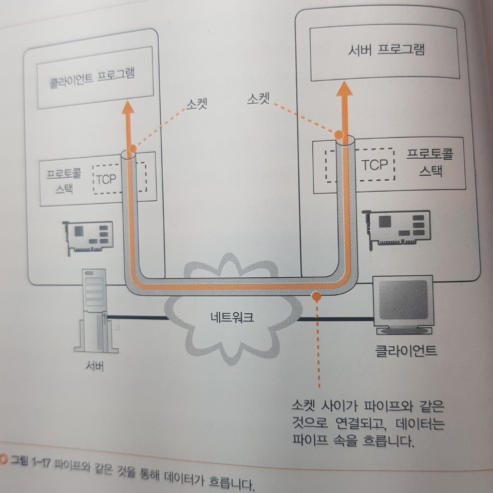 https://jayyhkwon.github.io/assets/post-img/network/tcp_socket.jpeg